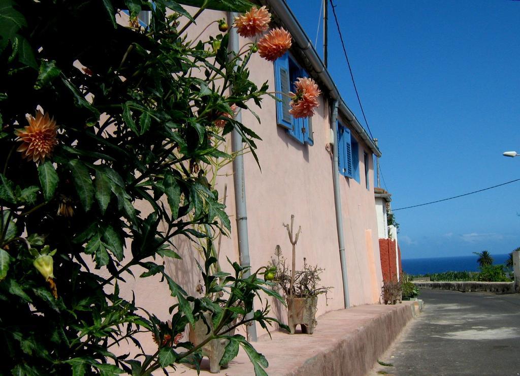 Casa Coronela Villa การาชิโก ภายนอก รูปภาพ